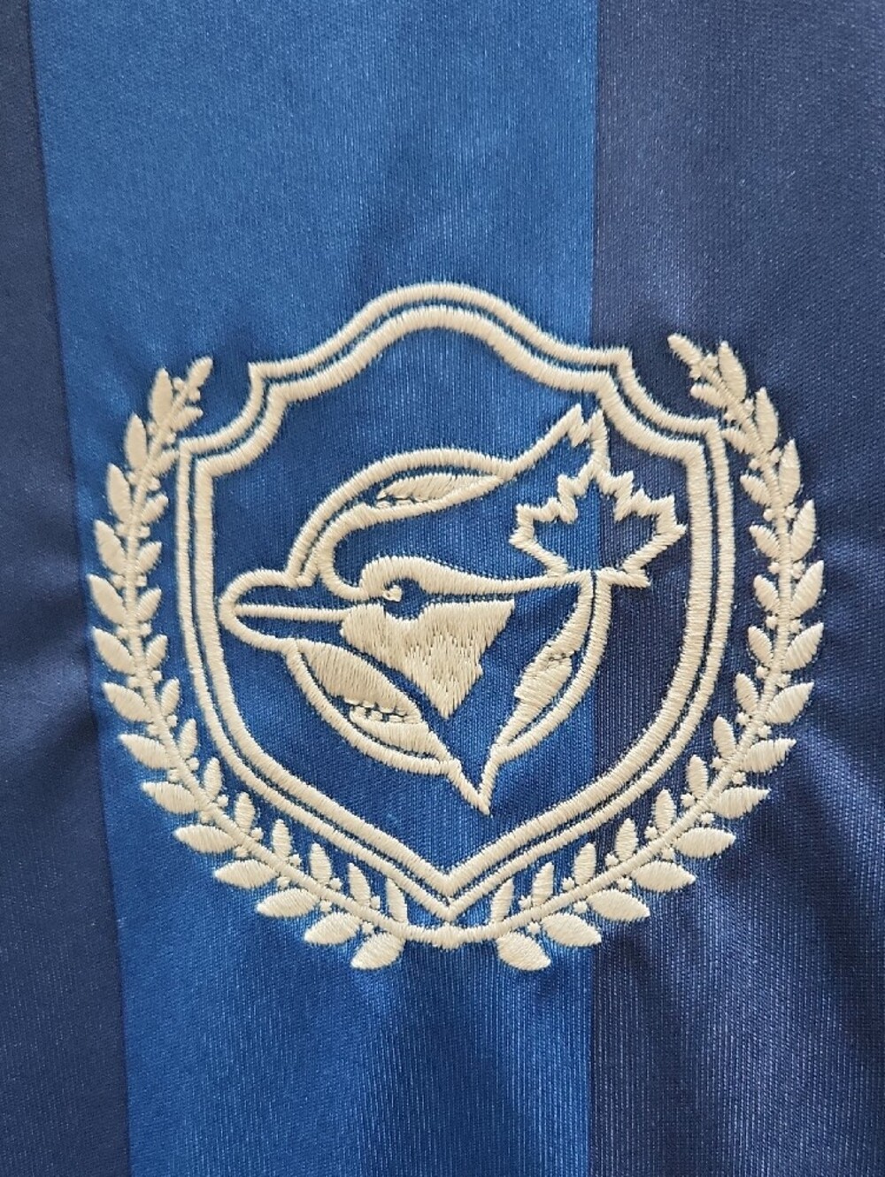 Blue Jays Gimenez Soccer Jersey Giveway - Picture 3 of 4